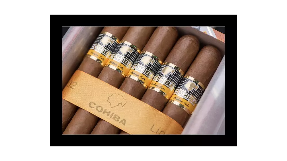 COHIBA SIGLO IV