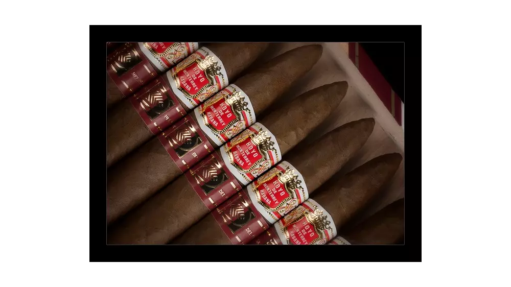 Hoyo de Monterrey Elegantes