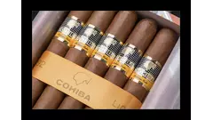 COHIBA SIGLO IV