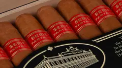 Partagas Serie E N2