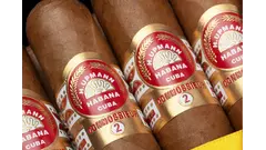 H.Upmann Connossieur No.2