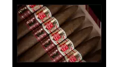 Hoyo de Monterrey Elegantes