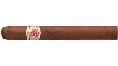 Hoyo de Monterrey Le Hoyo Du Maire