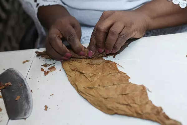 How to recognize the counterfeit (fake) cigar